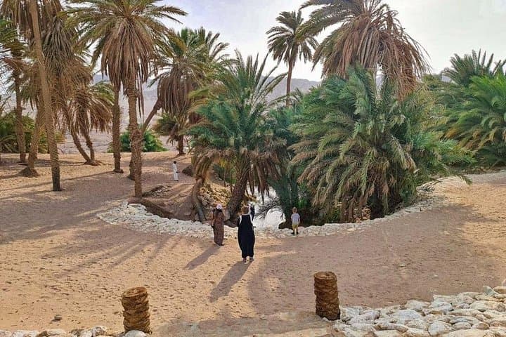 Land of Midian and the Split Rock of Moses: Day Tour from Tabuk photo 1