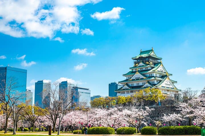 Private Osaka Day Tour – Osaka Castle, Dotonbori & Kuromon Market