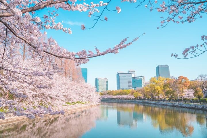 Private Osaka Day Tour – Osaka Castle, Dotonbori & Kuromon Market photo 2