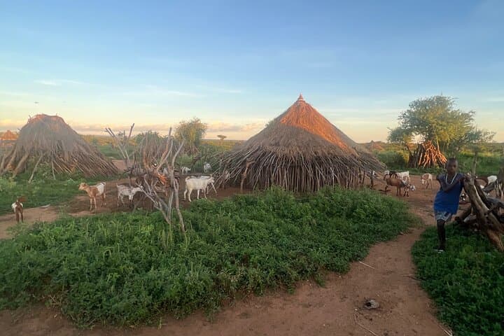 3-Day Omo Valley Cultural Tour — Tribes, Markets & Mago National Park photo 2