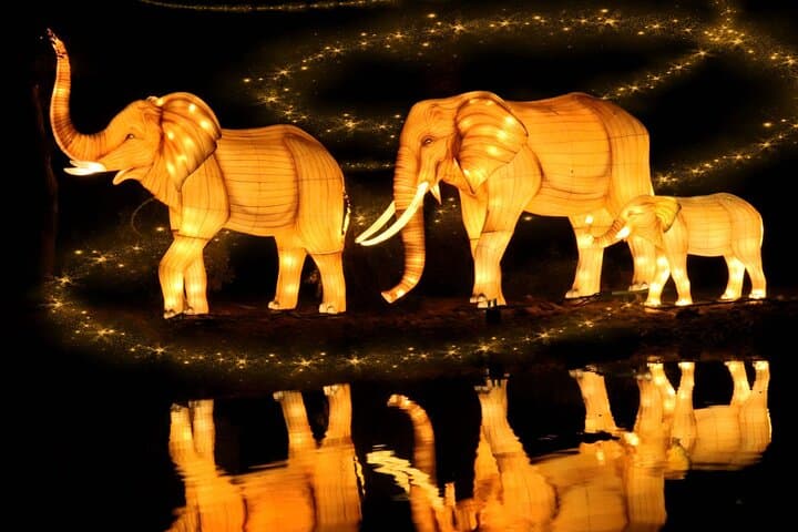 Dubai Garden Glow: Glow Park, Ice Park & Dinosaur Park in Zabeel Park photo 4