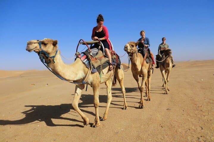 Hurghada Desert Quad and Bedouin Camel Experience — 3-Hour Quad Tour with Camel Ride photo 3