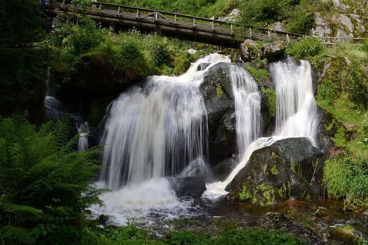 4-Day Black Forest & Rhine Falls Porsche Drive: Autobahn, Castles and Waterfalls photo 6