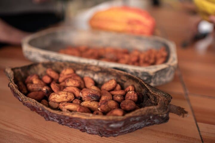 Churute Howler Monkey Reserve & Cacao Chocolate Making Day Trip from Guayaquil photo 5