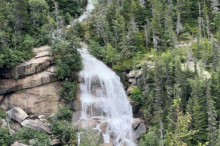 Skagway Waterfall Tour: Bridal Veil, Pitchfork & Reid Falls Scenic Bus Excursion photo 5