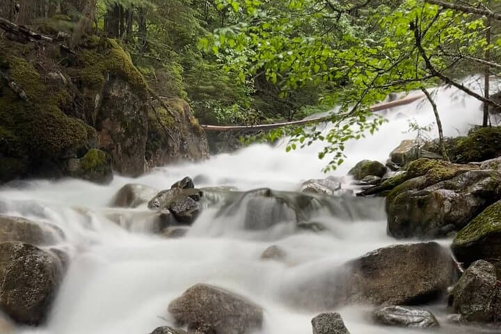 Skagway Waterfall Tour: Bridal Veil, Pitchfork & Reid Falls Scenic Bus Excursion photo 2