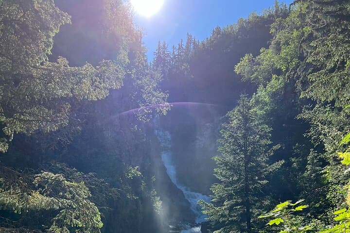 Skagway Waterfall Tour: Bridal Veil, Pitchfork & Reid Falls Scenic Bus Excursion photo 4