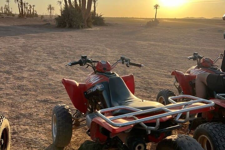 Half-Day Quad Biking in Marrakech Palmeraie with Hotel Transfers