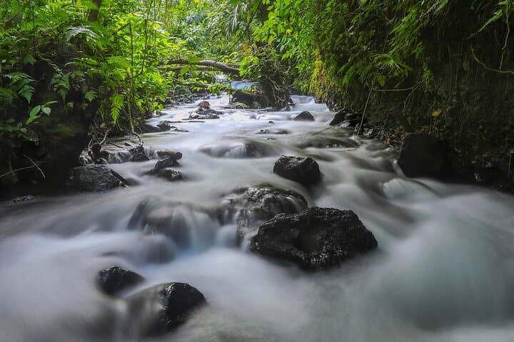 Choyín Thermal River Hot Springs — La Fortuna Eco-Friendly Day Pass photo 3