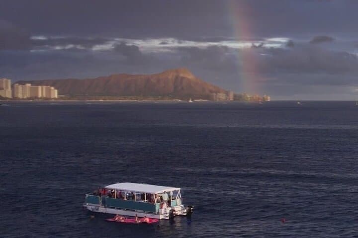 Waikiki Whale Watching Cruise — Humpbacks Off Oahu's Shore photo 3