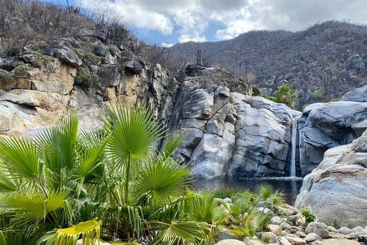 Fox Canyon Hot Springs and Waterfall Day Tour from San José del Cabo