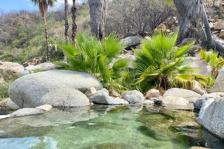 Fox Canyon Hot Springs and Waterfall Day Tour from San José del Cabo photo 2