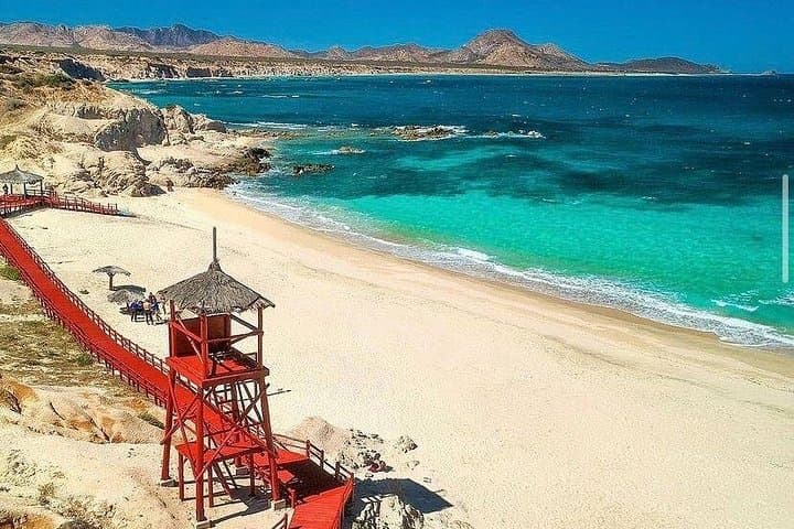 Snorkel Cabo Pulmo: Private Guided Tour to Playa El Arbolito in the Sea of Cortez