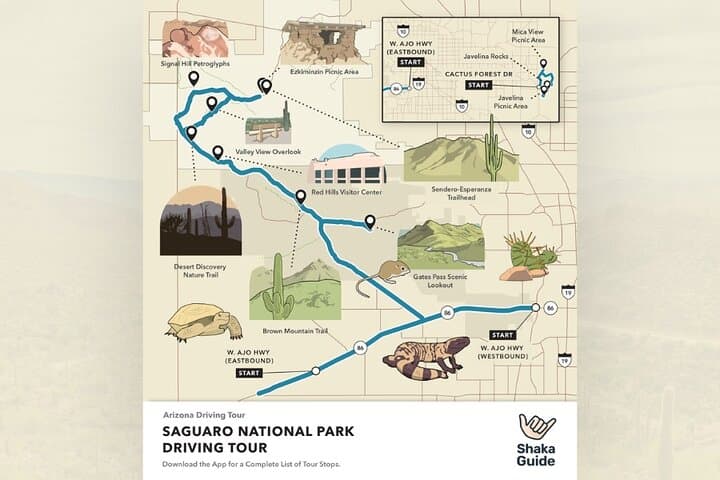 Self-Guided Saguaro National Park Driving Tour: Best Stops, Tips & Map photo 4
