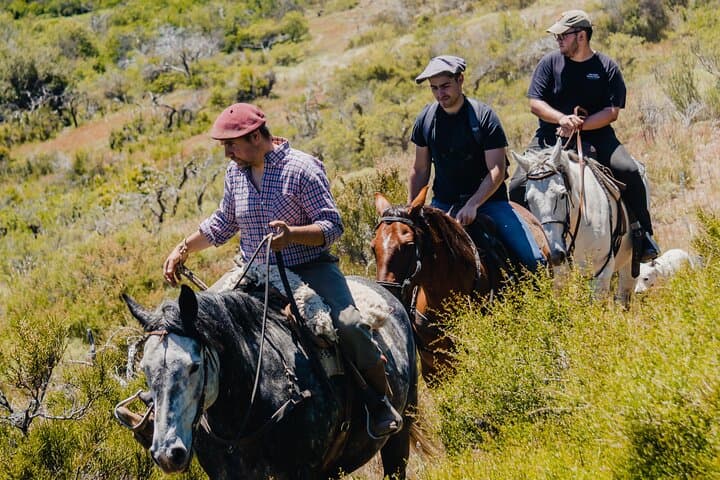Patagonia Horseback Tour in Aluminé with Traditional Patagonian Roast