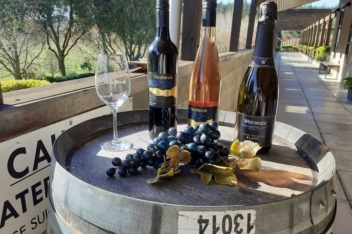 Half-Day Kumeu Wine Tour from Auckland — Boutique Tastings & Gourmet Vineyard Lunch