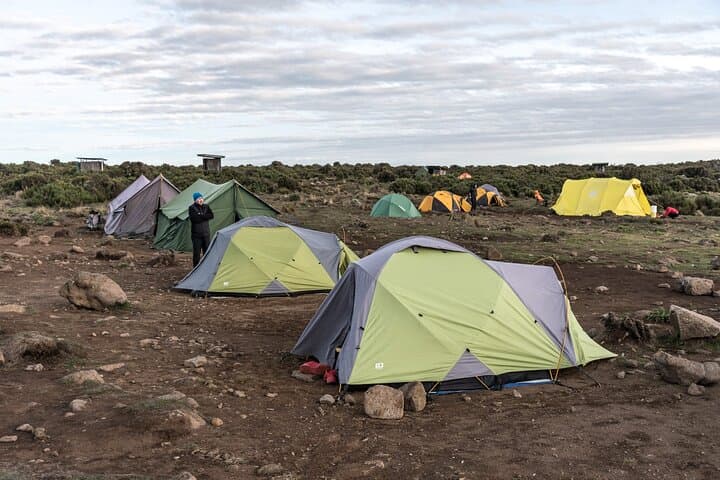 Machame Route Kilimanjaro 7-Day Climb — Summit Uhuru Peak photo 6