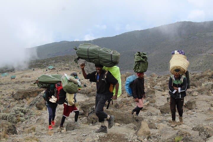 Marangu Route Kilimanjaro 6-Day Expedition Guide photo 3