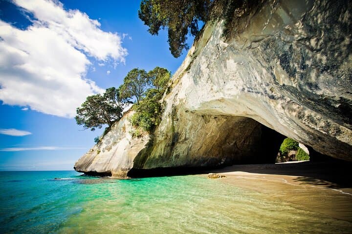 Cathedral Cove & Coromandel Peninsula Day Tour from Auckland photo 3