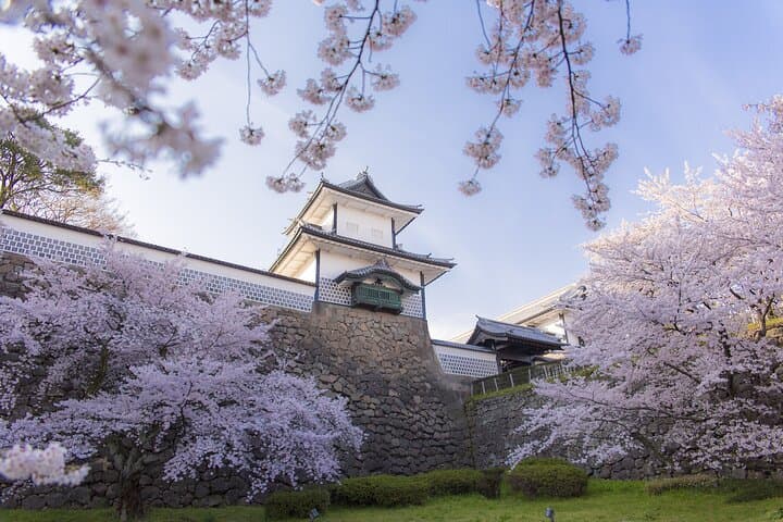 Private Kanazawa Personalized Guided Tour — Kenrokuen, Omicho Market & Custom City Walks