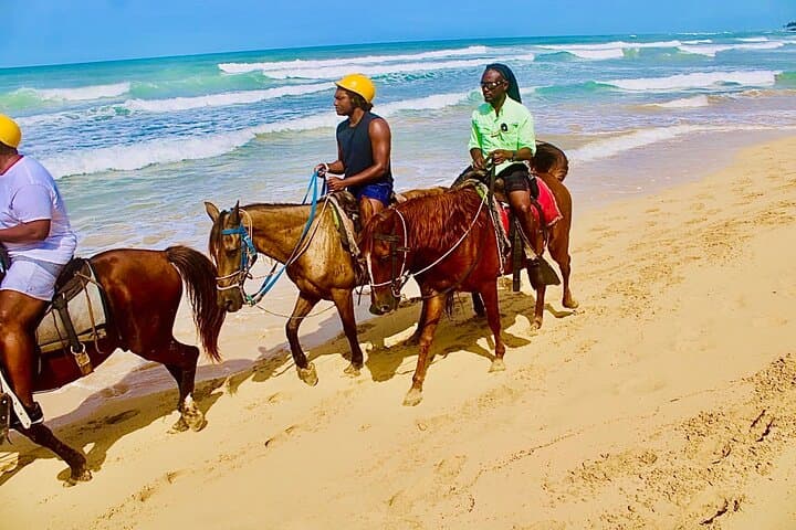 Exploring Punta Cana's Beaches and Mountains on Horseback photo 2