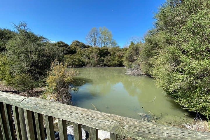 From Auckland to Middle-earth: Hobbiton & Rotorua Small-Group Day Tour photo 6