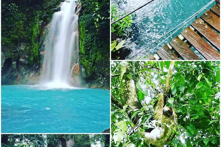 Rio Celeste Hike and Sloth-Watching in Tenorio National Park