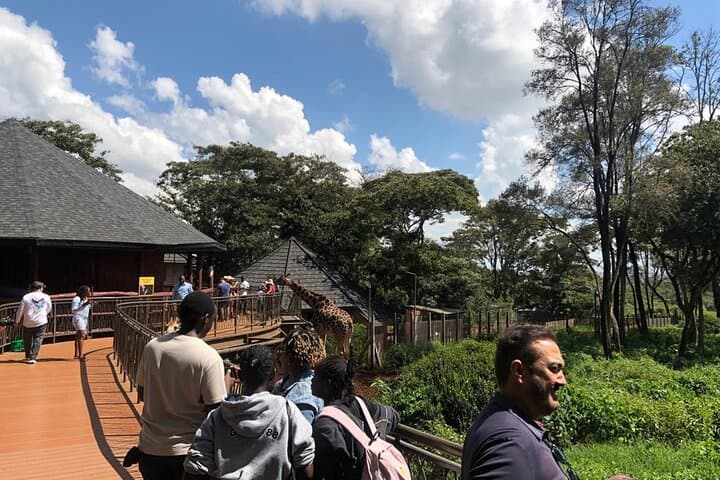 Nairobi Giraffe Center & Karen Blixen Tour: A Half-Day Wildlife and History Experience photo 6