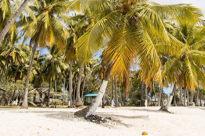 Explore Northern Grande Comore: Legends of the North Guided Tour photo 3