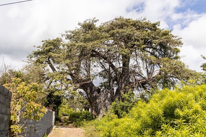 Explore Northern Grande Comore: Legends of the North Guided Tour photo 2