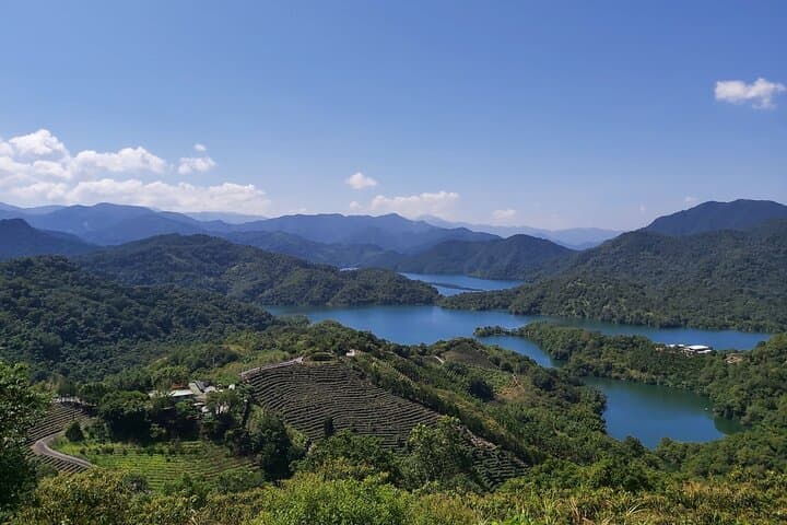 Thousand Island Lake & Pinglin Tea Plantation: Half-Day Tea and Scenery Tour from Taipei