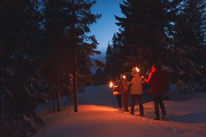 Oslo Winter Forest Walk & Torchlit Campfire at Frognerseteren