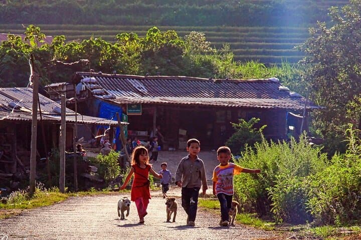 Northern Vietnam Discovery: 7-Day Hanoi to Sapa, Ninh Binh & Halong Bay Adventure photo 5