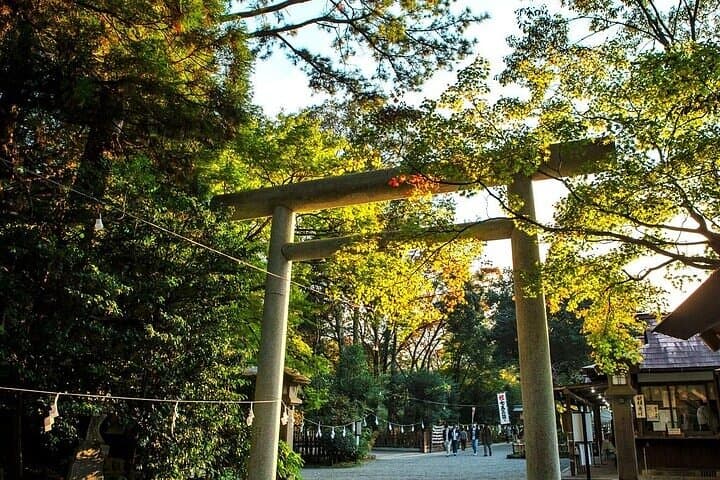 Takachiho Gorge & Sacred Shrines Day Trip from Fukuoka photo 4
