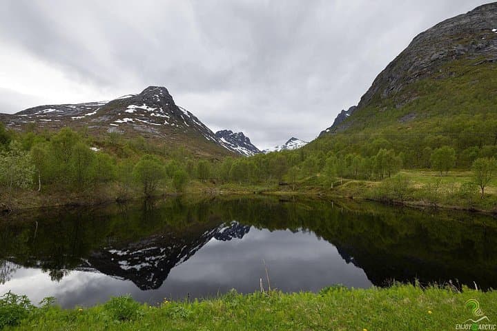 Norwegian Fjords Small-Group Tour from Tromsø: Grøtfjord, Ersfjordbotn & Tromvik photo 1