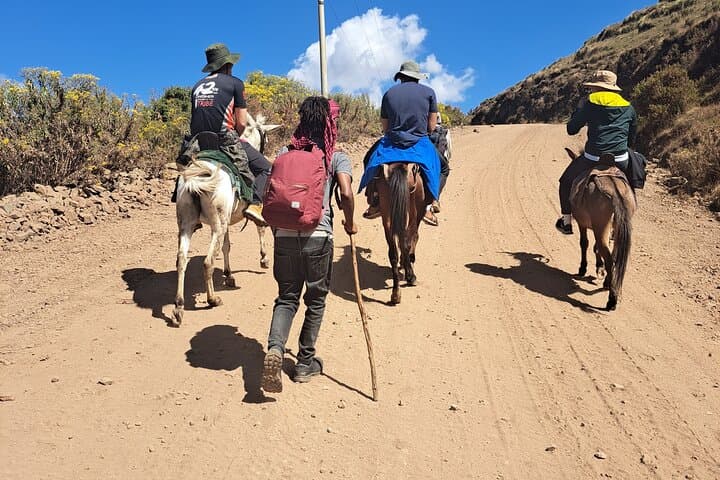 5-Day Simien Mountains Trek & Axum — Imet Gogo, Geladas & High-Plateau Views photo 4