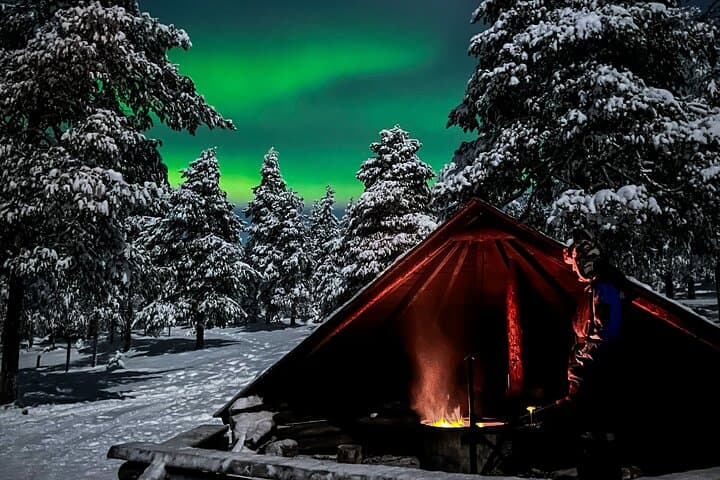 Private Full-Day Lapland Guide: Sámi Culture, Forest Walks & Northern Lights in Inari-Saariselkä