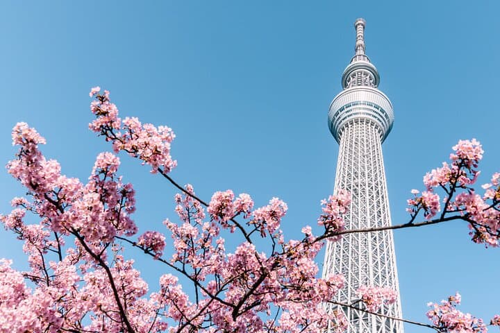 Tokyo Private Custom Day Tour: Explore Asakusa, Shibuya & Shinjuku with a Certified Guide photo 2
