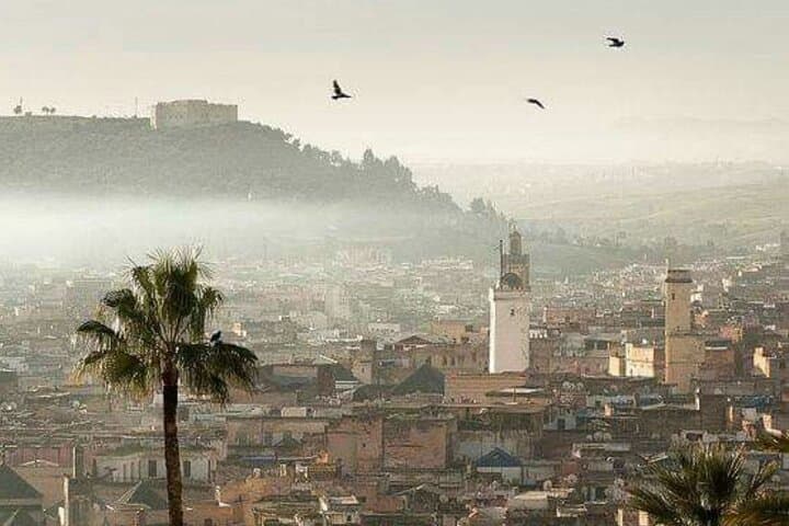 Explore Fez Medina: Private Guided Tour of Tannery, Madrasa & Historic Monuments photo 3