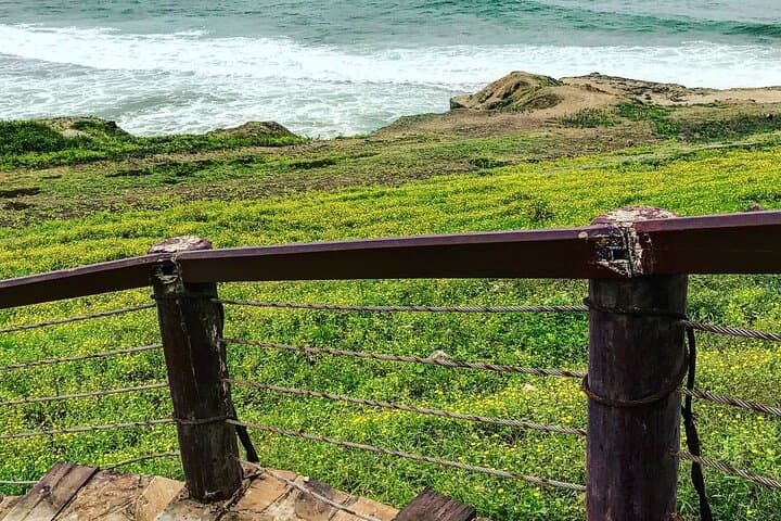 Discover West Salalah: Full-Day Coastal Adventure & Frankincense Trail photo 4