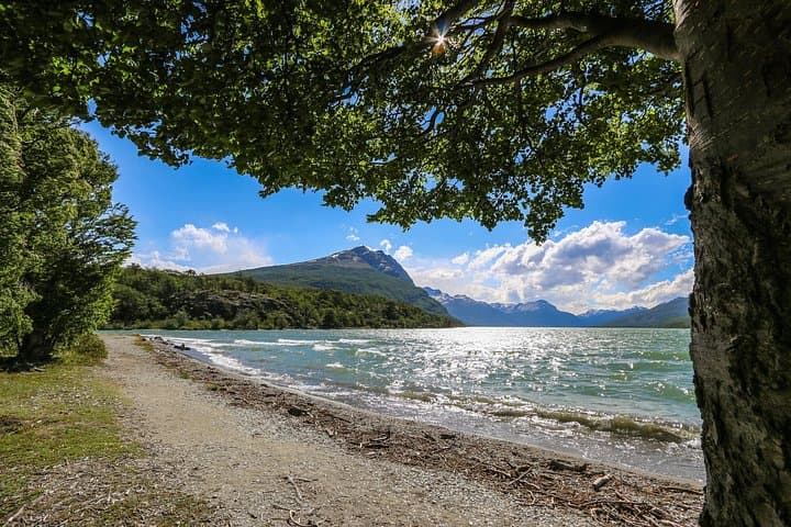 Private Tour to Tierra del Fuego National Park from Ushuaia — End of the World Hikes & Wildlife
