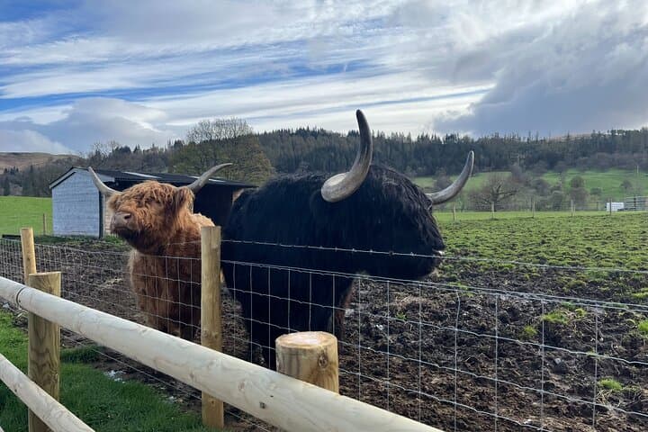 Kelpies to Loch Lomond: Full-Day Tour to Luss, Tarbet, Glen Ogle & Trossachs Woollen Mill photo 2