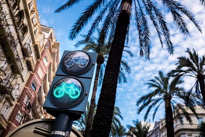 Valencia Private E-Bike City Tour — 2-Hour Highlights by Electric Bike photo 5