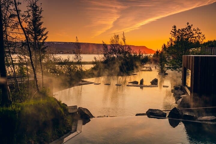 Forest Lagoon Northern Lights Night Tour from Akureyri