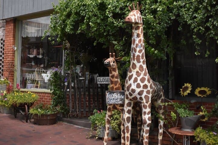Senoia Walking Dead Film Locations: 2-Hour Guided Walking Tour photo 5