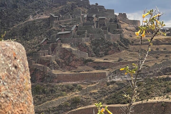 Private Sacred Valley Tour: Ollantaytambo, Moray, Maras & Pisac photo 3