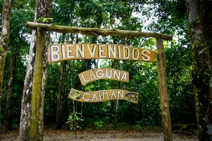 2-Day Amazon Expedition from Quito: Wildlife, Canoeing & Indigenous Village Visit photo 2