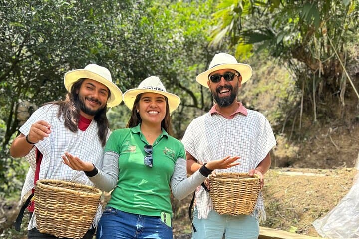 Exclusive Coffee Tour Near Medellín: Hands-On Farm Visit & Cupping Experience photo 4