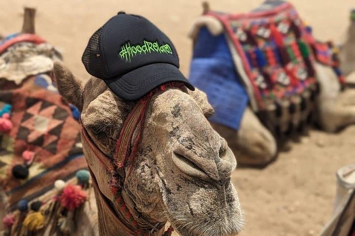 Quad Bike and Camel Desert Adventure at the Giza Pyramids photo 3