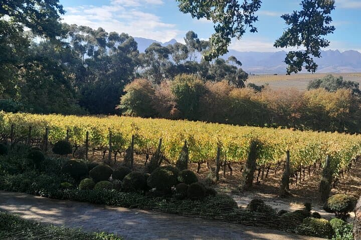 Table Mountain and Stellenbosch Wine Tasting Private Tour — Cape Town Day Trip photo 3